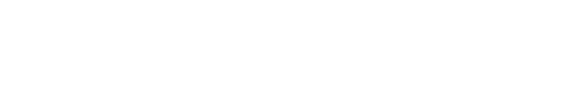 Visionary Tech Solutions